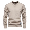 Classic beige V-neck knitted sweater for men featuring a modern slim fit and long sleeves - Apricot