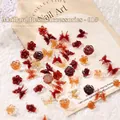 Maillard-Stil Nagelkunst-Set aus Harz mit 30 braunen Schleifen und Blumenperlen - 01 Gemischter Schmetterling & Kamelie (ca. 30 Stück)