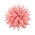 Detailed macro shot of 11cm pink lace chiffon sunflower with intricate honeycomb mesh texture - Light Watermelon Red