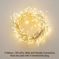 3M Warm White 100-LED String Lights with Male and Female Connectors for Decoration - 3m 100LED (Requires Plug) / Silver Wire Warm White (Connector)
