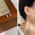 Élégantes boucles d'oreilles en argent s925 avec petites perles d'eau douce naturelles - 3-4mm / Blanc