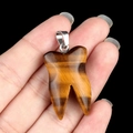 Tooth shaped brown tiger eye stone pendant with silver metal bail on black background - Tiger's Eye