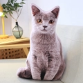 Realistisches graues Katzen-Plüschkissen auf beigem Sofa im modernen Wohnzimmer - Braune Katze 30*48cm