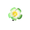 Sweet green and yellow gradient frangipani hair clip with pearl center on white background - Pearl Style / 6cm / Green