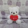 Oso de peluche blanco con corazón rojo y bordado I love you - Blanco (Sosteniendo un corazón)