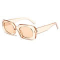 Gafas de sol rectangulares retro con montura champán transparente y lentes teñidas - Montura Champán Lentes Té