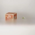 Handmade persimmon scented candle in creative orange shape with elegant gift box packaging - Persimmon