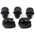 Set of five polished black crystal skull ornaments with a glossy electroplated finish - No.4 (Black Polished)