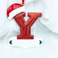 Sparkly red letter Y Christmas ornament with Santa hat and holly resin tree decor - Letter Y