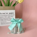 Mint green organza gift bag with a satin bow and translucent drawstring closure - Aqua Green