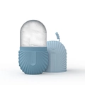 Blue silicone face ice roller with shell texture and a transparent cooling dome - Shell Style - Blue