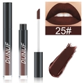 Détail du rouge à lèvres liquide mat DUNUF 25 brun rougeâtre foncé avec échantillon - 25#