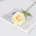 Single yellow silk velvet rose with green stem placed on an aesthetic magazine - Large Velvet Champagne
