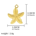 Golden starfish pendant charm in stainless steel with textured finish and size dimensions - Golden Grained Starfish (A0012401)