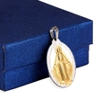 Ovale medaillon hanger van roestvrij staal in tweekleurig 18k goud en zilver - 2*3cm / Goud & Zilver