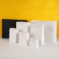Mini gift paper bags set in black and white with woven handles for jewelry packaging - White Cardboard