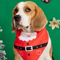 Dettaglio di un beagle che indossa una bandana festiva rossa di Babbo Natale su sfondo verde - Stile Babbo Natale Classico Rosso