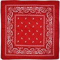 Classic red paisley bandana with white teardrop patterns and geometric border - Red