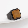 Men's titanium steel square tiger eye ring with a black finish and brown gemstone - US 11 / Black Tiger Eye