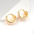 Minimalist 18K gold plated hoop earrings with white enamel finish for women - Gold/White