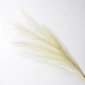 9-Head Reed White