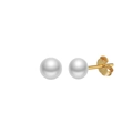 Classic S925 sterling silver stud earrings with round white freshwater pearls in gold - 4-4.5mm Pearl/14K Gold Plated