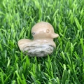 Mini natural stone duck carving in beige and grey-green marble on green grass - Leopard Print