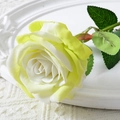 Single white and yellow gradient artificial rose flower with velvet texture and green stem - 10cm / Large Velvet Green