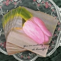 Floral paper napkins with pink tulip illustrations and elegant decorative text - Tulip