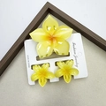 Three-piece set of gradient yellow flower hair claws made of high-quality acrylic material - Five-petaled Flower - Yellow Set (includes Card)