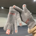 Women winter thick knit touch screen gloves, grey cute wool gloves with panda design, warm. - Blue Pink