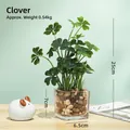 Artificial four leaf clover plant in glass pot with pebbles for tabletop decor - Four-leaf Clover - Glass Bowl Artificial Flower Ornament