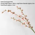 Violet Pink