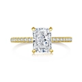 US 5 / Gold White Zirconia