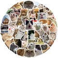 50 pieces of waterproof funny cat meme stickers for luggage and guitar decoration - Funny Cat Meme Style (GT216)