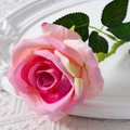 Single pink gradient velvet artificial rose with green leaves on elegant white plate - 10cm / Large Velvet Champagne Pink