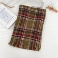 Green, red and beige plaid scarf with tassels on minimalist aesthetic background - Green