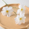 3-Head Happiness Flower White