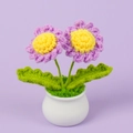 Detail of handmade crochet purple daisies in a white ceramic pot on purple background - Light Purple