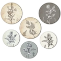 Bohemian set of six round wooden wall art plaques featuring vintage botanical floral sketches - Vintage Botanical Line Art (Style A 6 Pcs/Set)