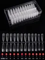 504pcs Coffin fake nail tips in matte transparent finish with size chart and box - T-shaped / 5 Sizes Set 504 Pieces