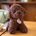 Ρεαλιστικό καφέ λούτρινο σκυλάκι Teddy με σγουρά μαλλιά πάνω σε ξύλινο τραπέζι - Ύψος 20 cm / Καφέ