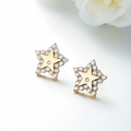Elegant gold alloy star-shaped stud earrings with sparkling white cubic zirconia borders - Gold Edge Pave Star / Gold