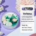 Verbena scented shell candle with blue starfish and white pearls decoration - Shell Glitter / Green / Verbena