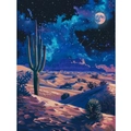 5D DIY diamond painting kit featuring a surreal desert night sky with cactus and moon - Fantasy Desert Night View / 20x30cm