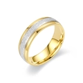 Zweifarbiger Ring aus Titanstahl mit mattierter Oberfläche und goldfarben polierten Kanten - US 6 / Gold