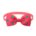 Polka dot pet bowtie in coral pink with green dots on ribbed grosgrain fabric - Watermelon Red Polka Dot