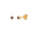 Minimalist round purple zircon stud earrings in gold finish with S925 silver needles - Gold Rose Red Zirconia