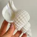 Hand holding a white conch shell scented candle with a spiral natural sea snail design - Peanut Shell Candle [10-12cm] / Freesia [Bagged]