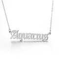 Gothic style Aquarius zodiac necklace in polished silver-tone stainless steel finish - Aquarius